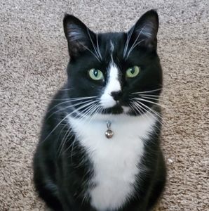 Meet your Posher, Doodlebug